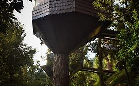 Treecasa Resort